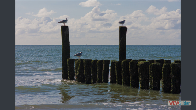 Strandpalen