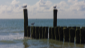Strandpalen